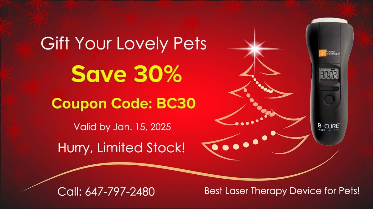 B cure Laser Pro Seniors Enjoy a Special 30 Off B cure Laser