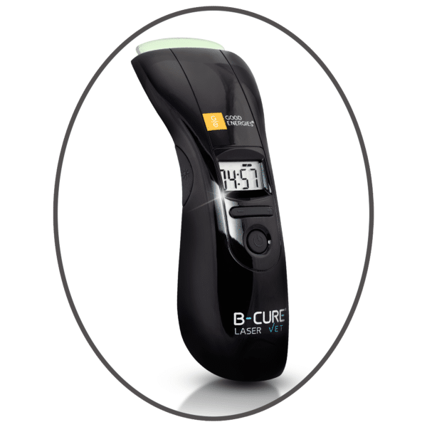 B cure Laser Vet Device   B cure Laser